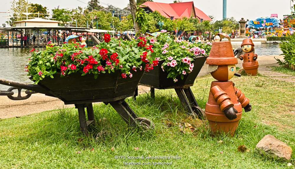 flower-pond-1.jpg