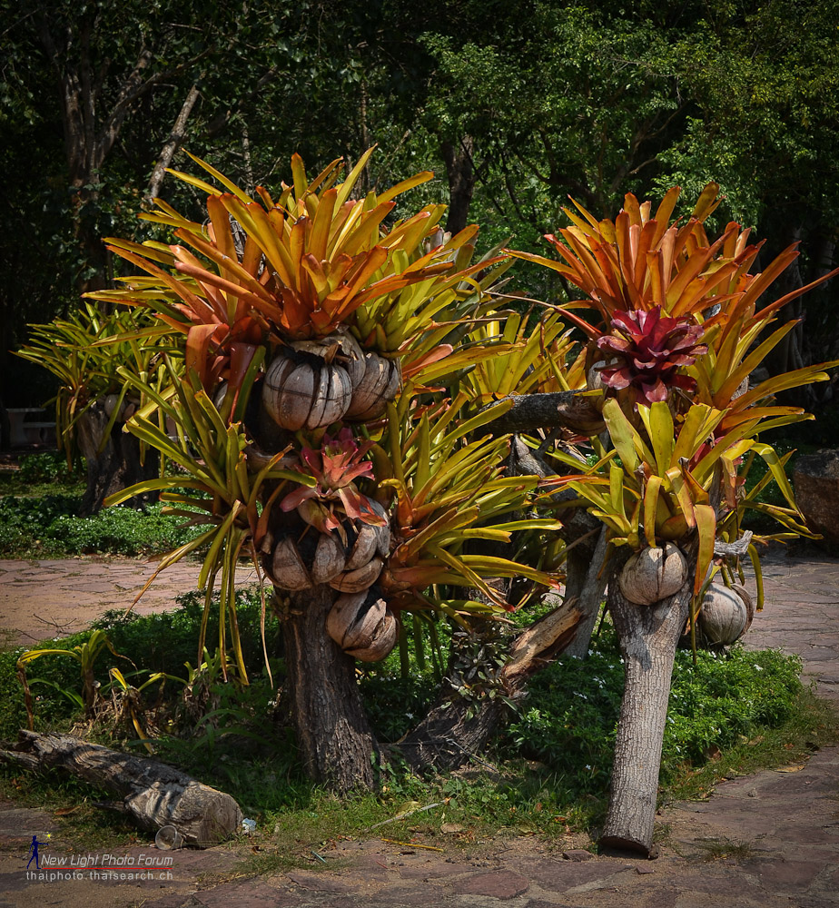 flower-pot-1.jpg