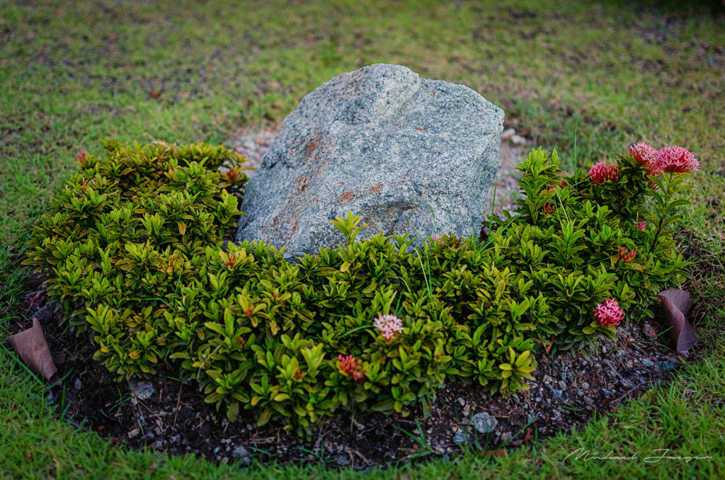 flower-stone-1.jpg