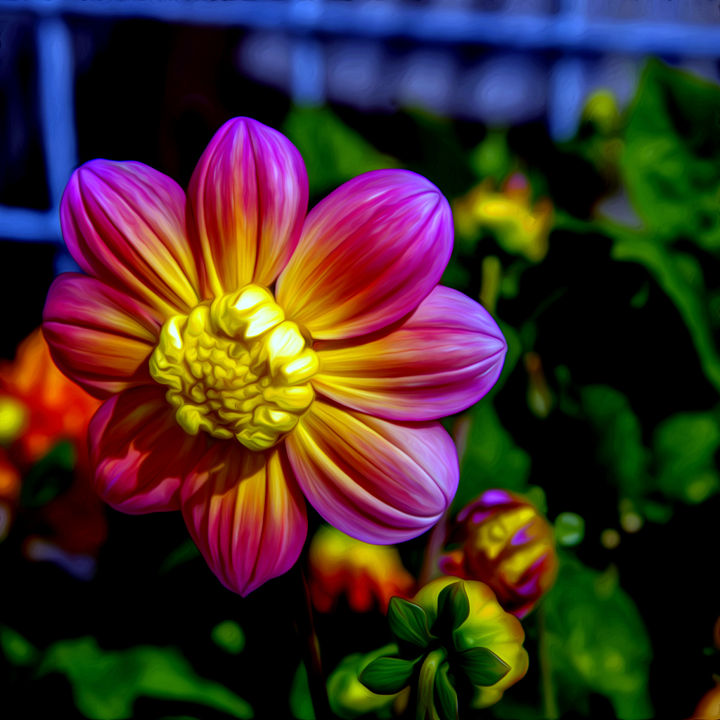 FLOWEROIL-001.jpg