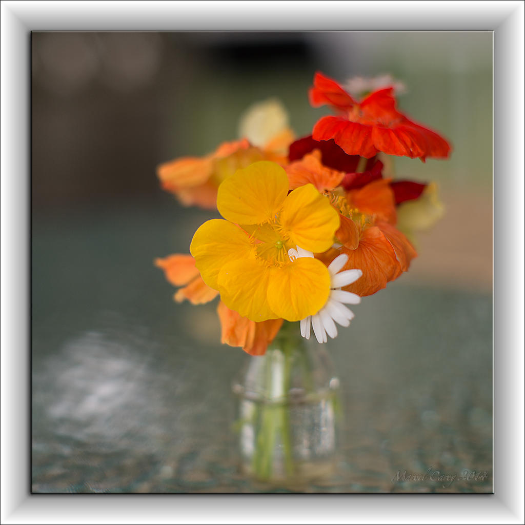 Flowers & Bokeh.jpg