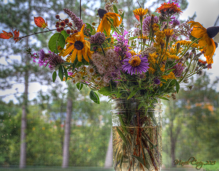 flowers in window.jpg