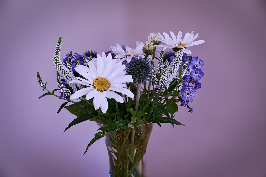 Flowers.jpg