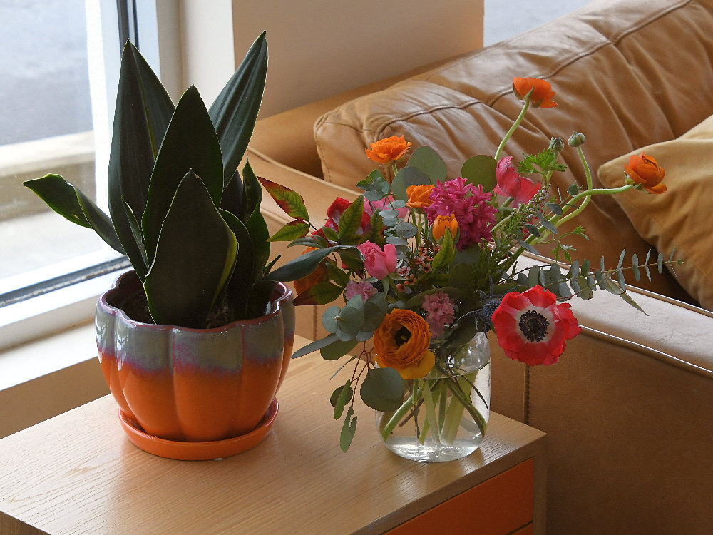 Flowers.jpg