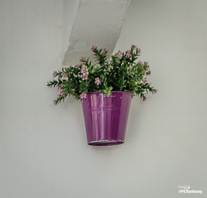 flowers-on-the-wall-2.jpg