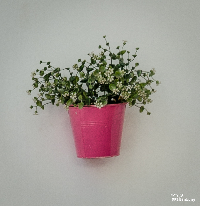 flowers-on-the-wall-5.jpg