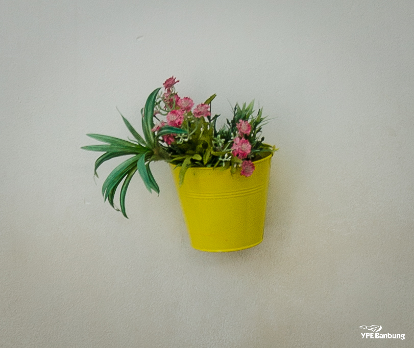 flowers-on-the-wall-6.jpg