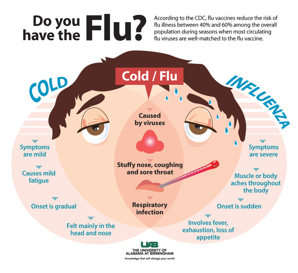 Flu-or-Cold-graphic.jpg