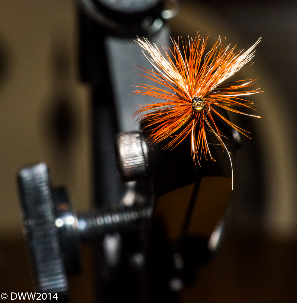 Fly in Vise (1 of 1).jpg