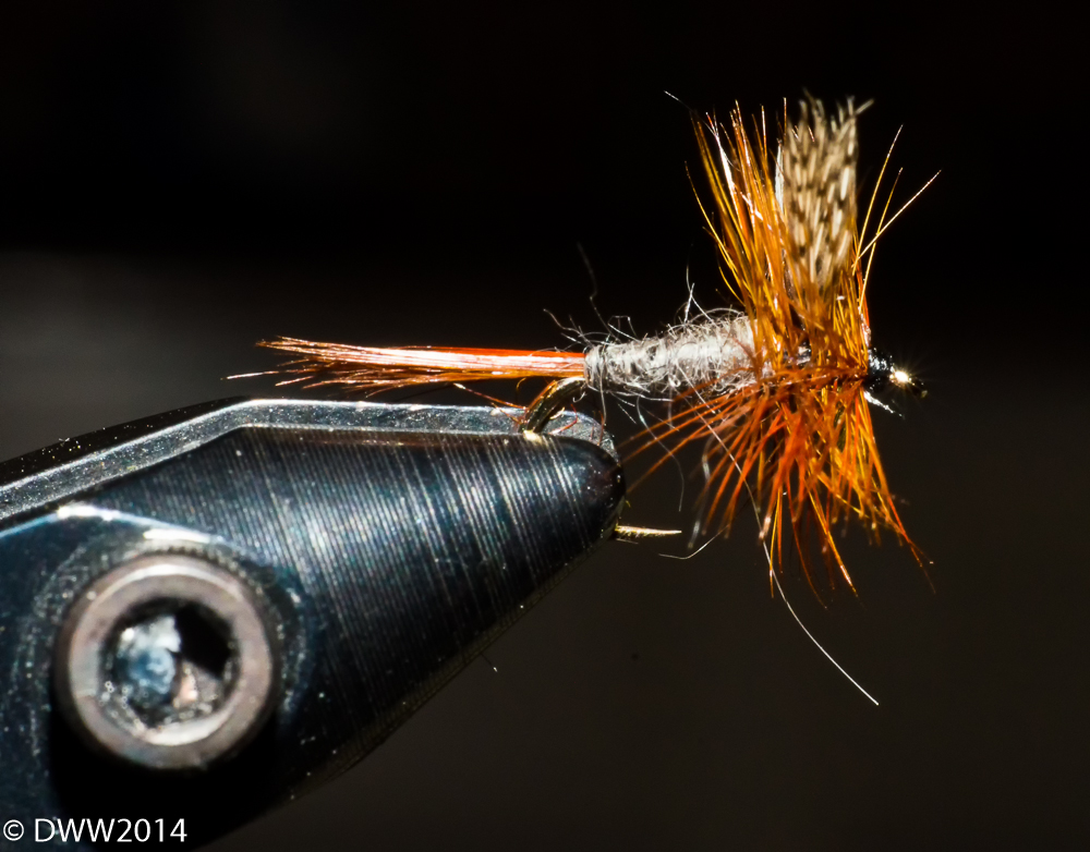 Fly in Vise2 (1 of 1).jpg