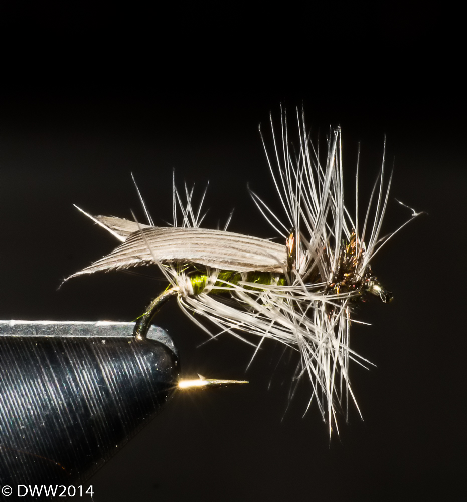 Fly in Vise3 (1 of 1).jpg