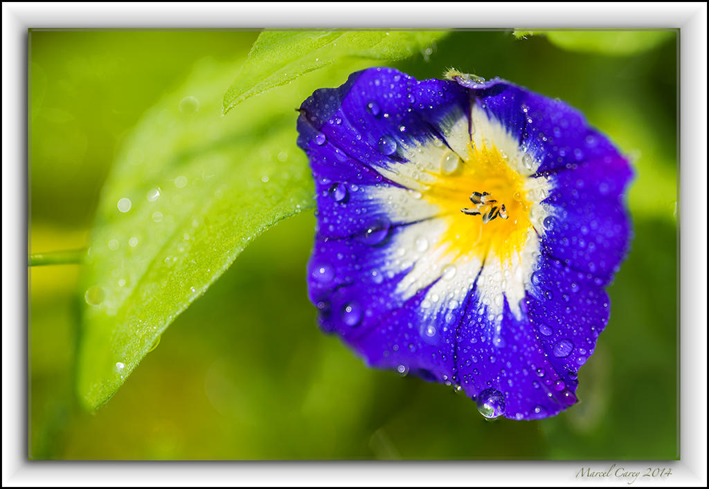 focus stack1.jpg