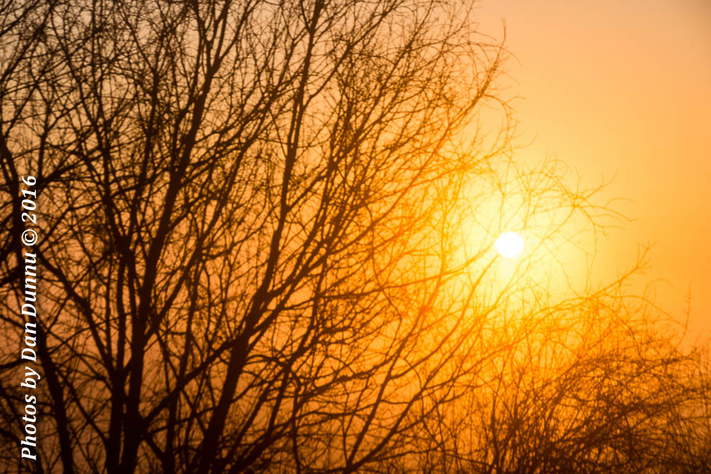 Fog and Sunrise-3256.jpg