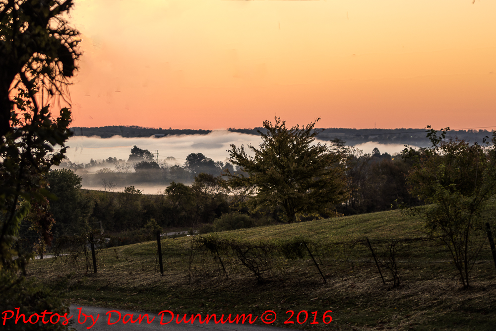 Fog and Sunrise-5073-Edit.jpg