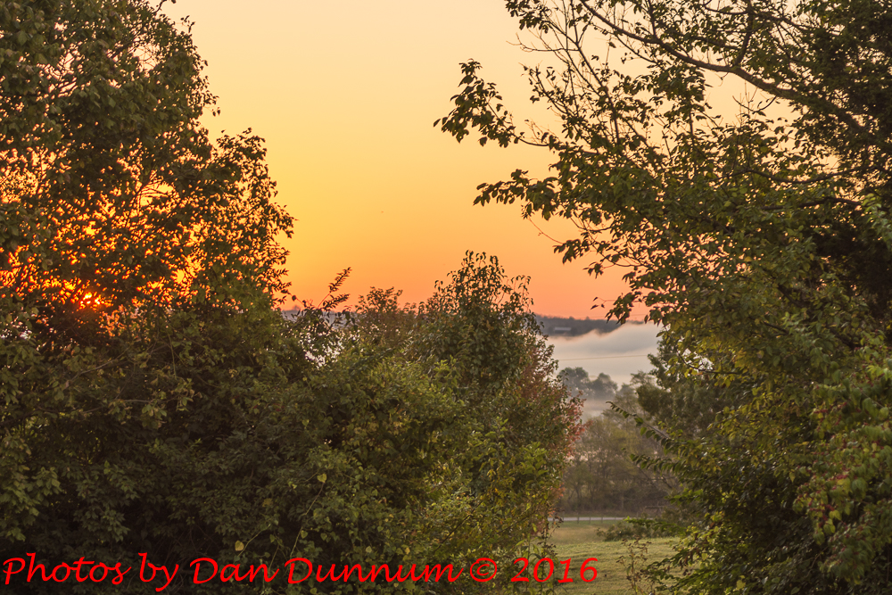 Fog and Sunrise-5074.jpg