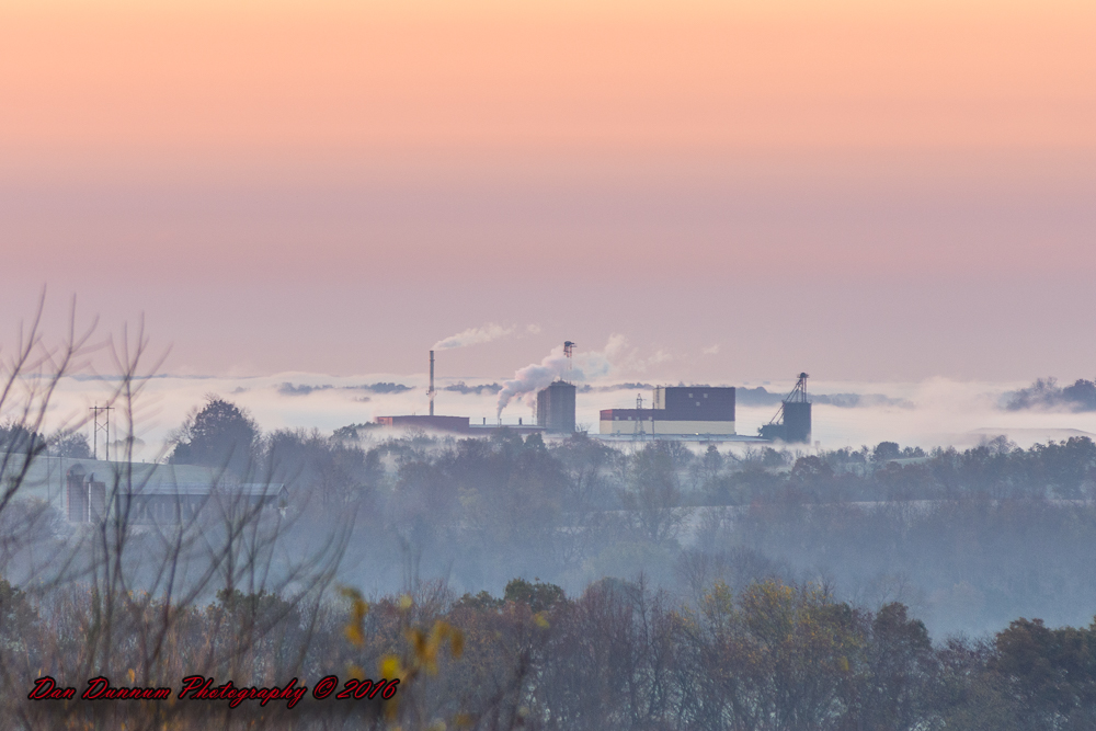 fog at dawn-7396.jpg