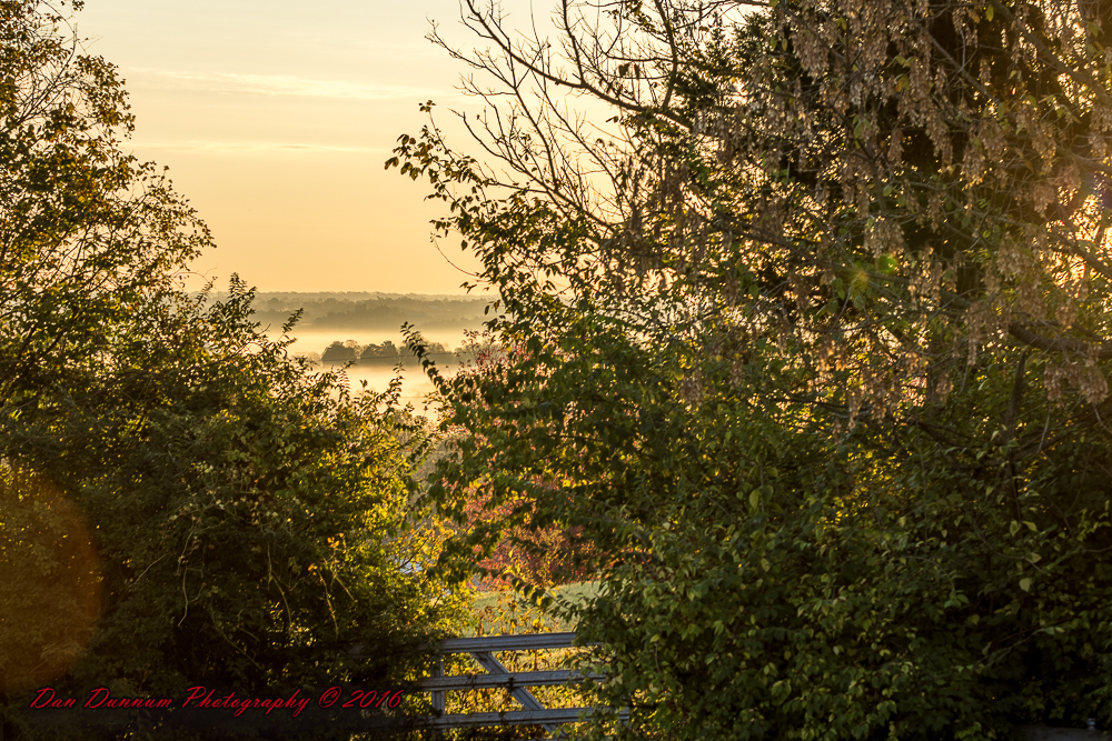 Fog at Sunrise-6408-1.jpg