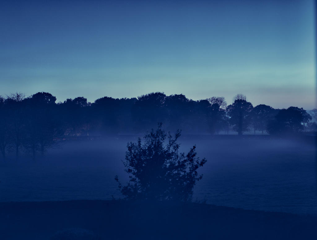 Fog.jpg