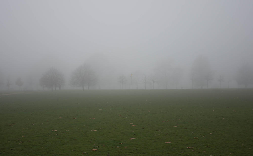 fog.jpg