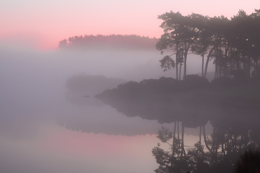 Fog1.jpg