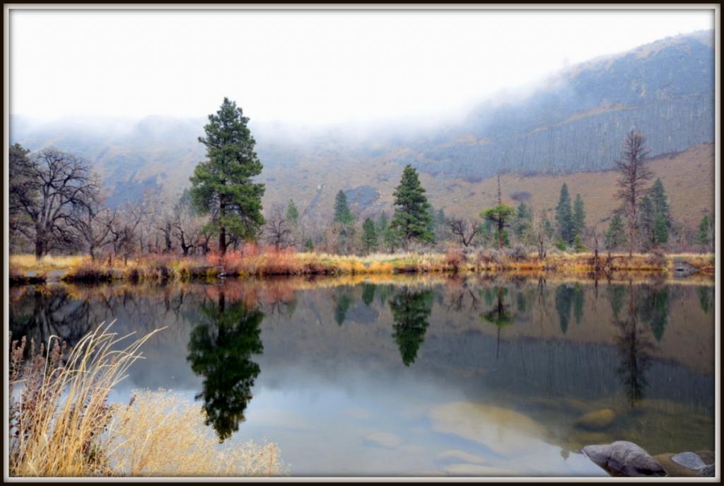FOG2 162.jpg
