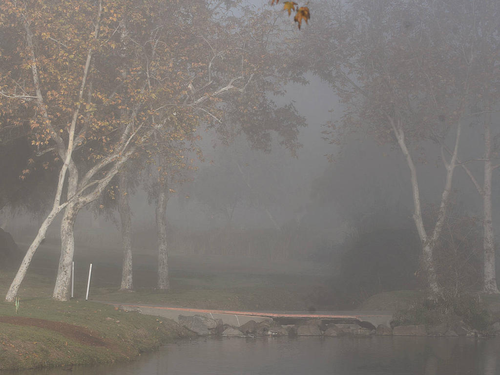 Fog2.jpg