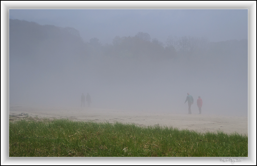 fog2011.jpg