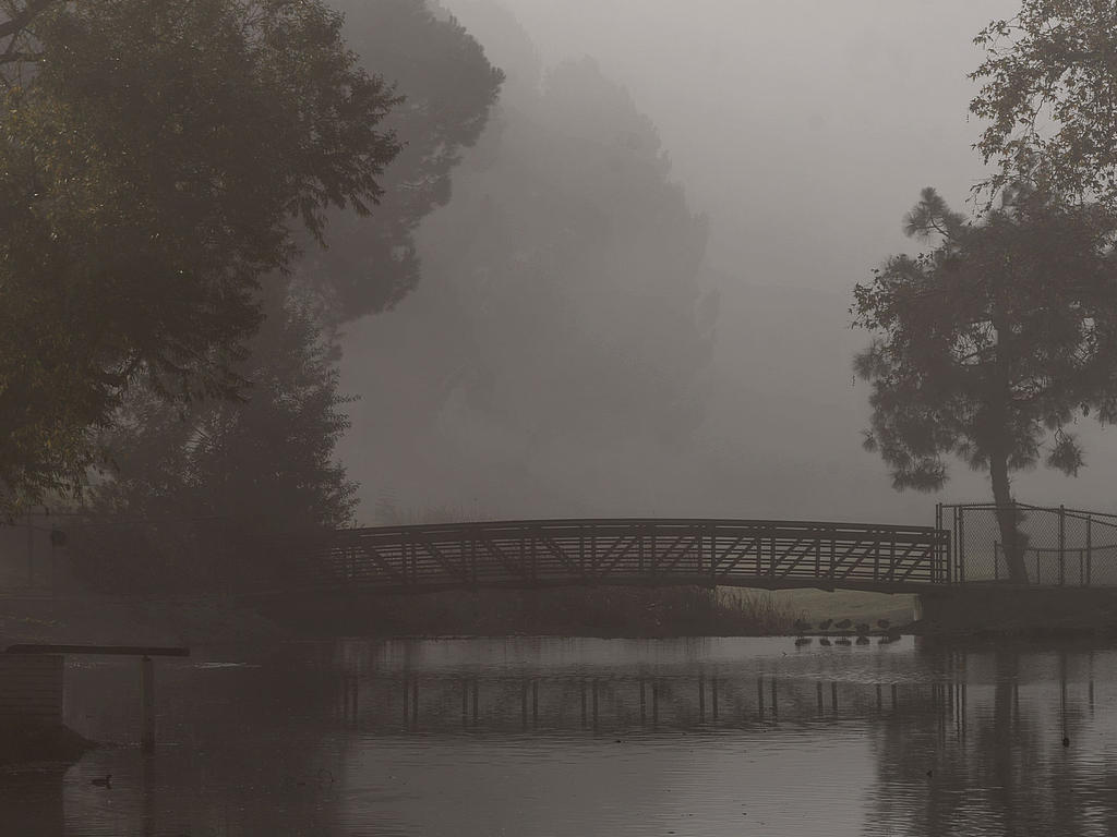Fog3.jpg