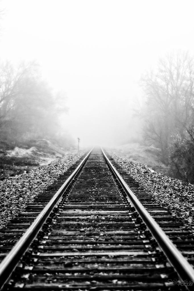 Fog6.jpg