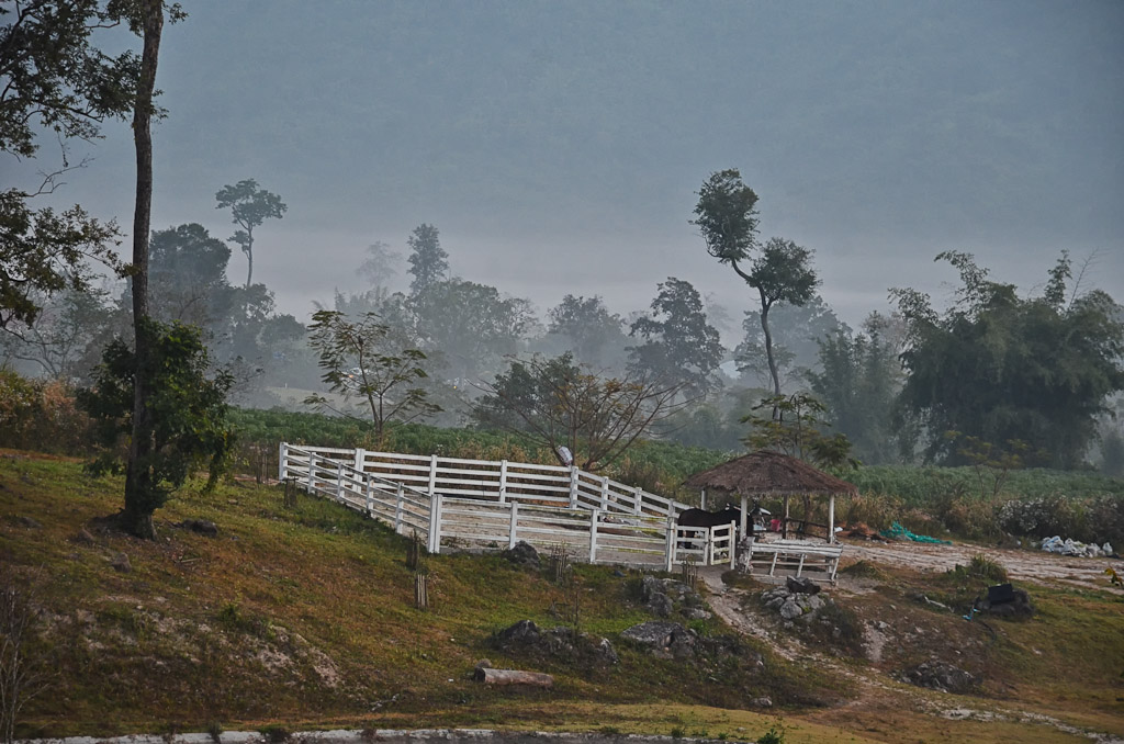 foggy-2.jpg