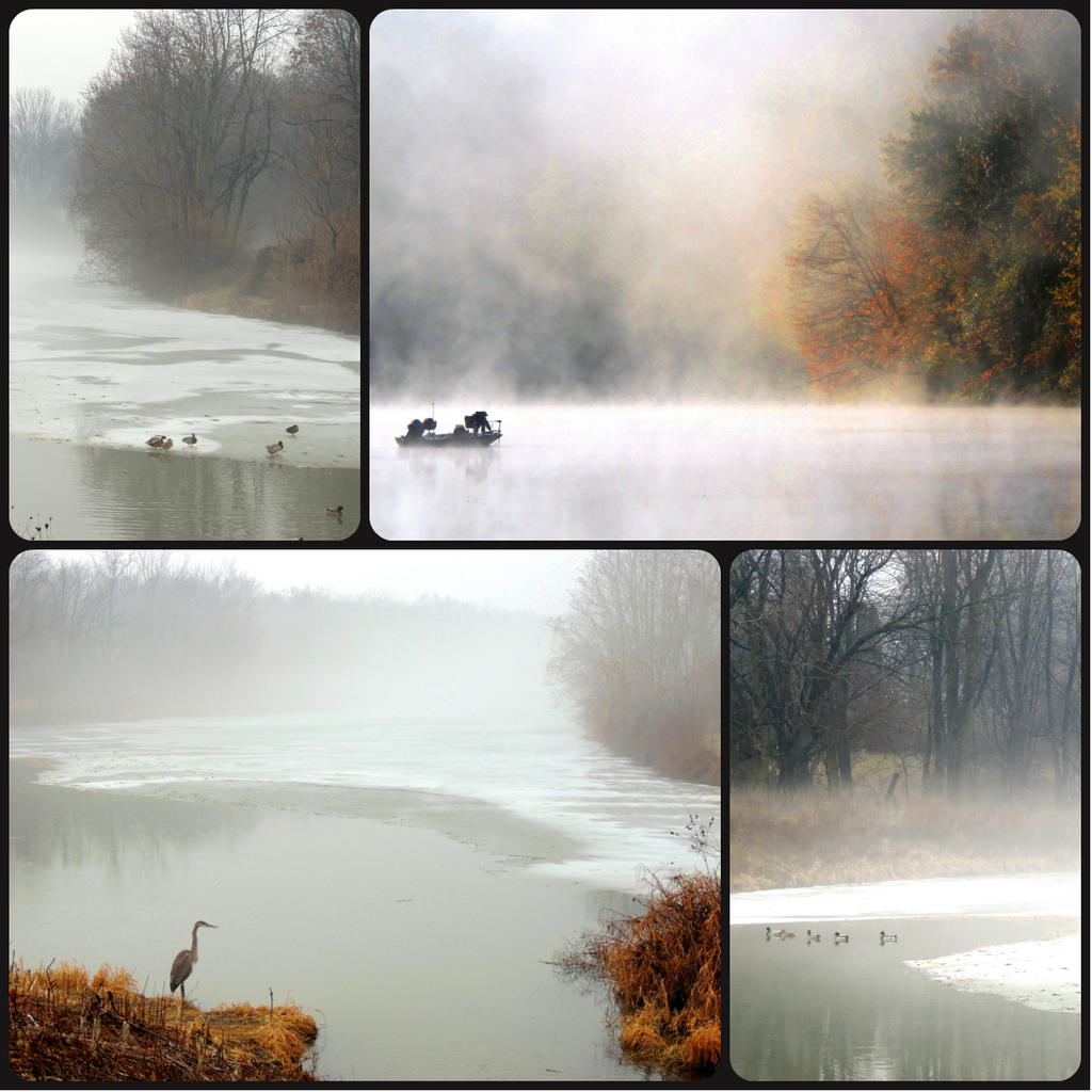 foggy collage.jpg