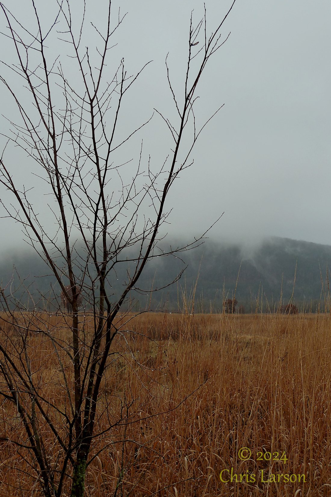 Foggy Devils Lake.JPG