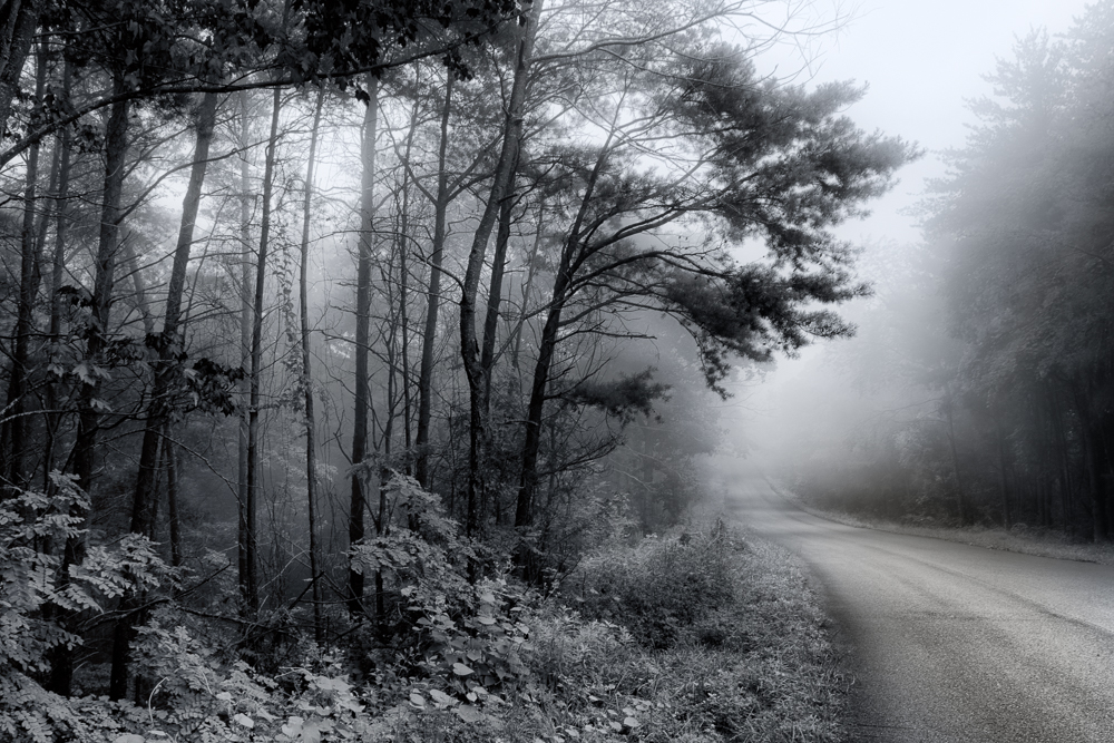 Foggy Mountain Road-.jpg