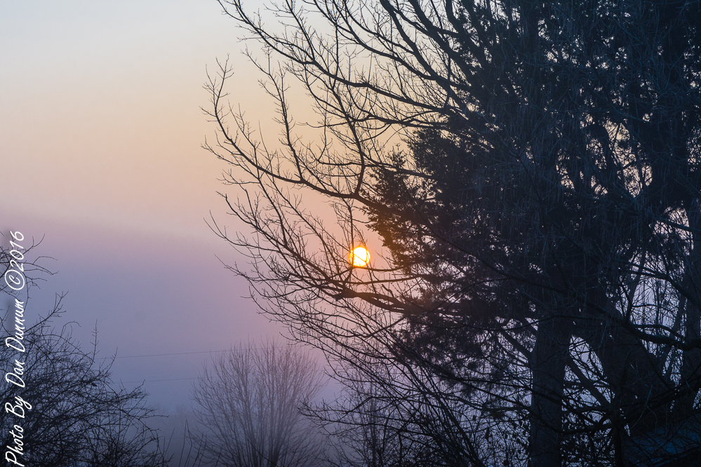 Foggy Sunrise-3087.JPG
