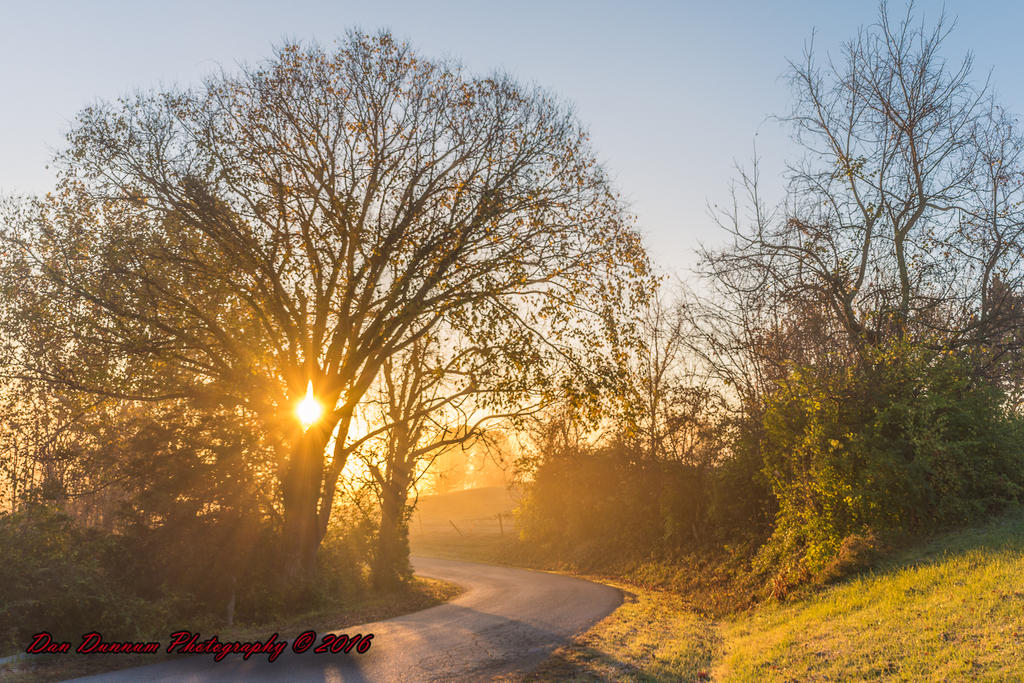 Foggy Sunrise-6927.jpg