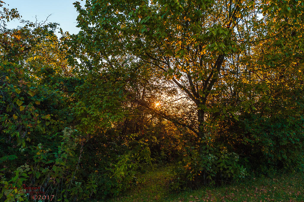 Foggy Sunrise-8305.jpg