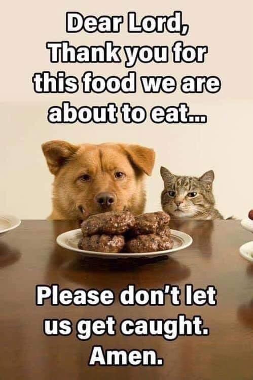 food.jpg