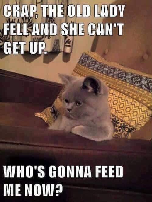 food.jpg