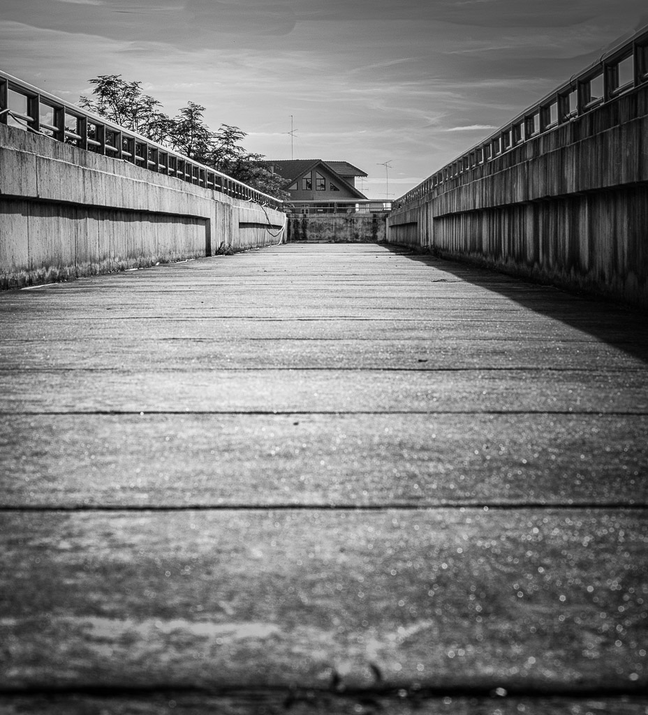 foodbridge-bw1-1.jpg
