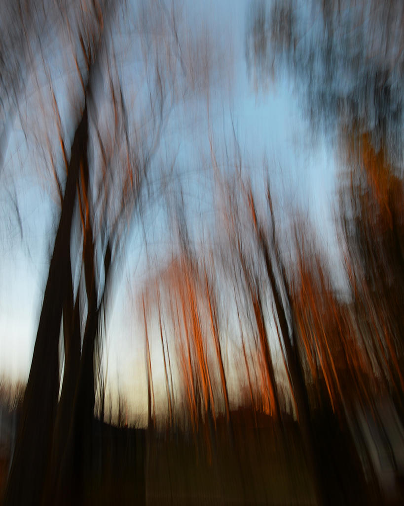forêt imaginaire2.jpg