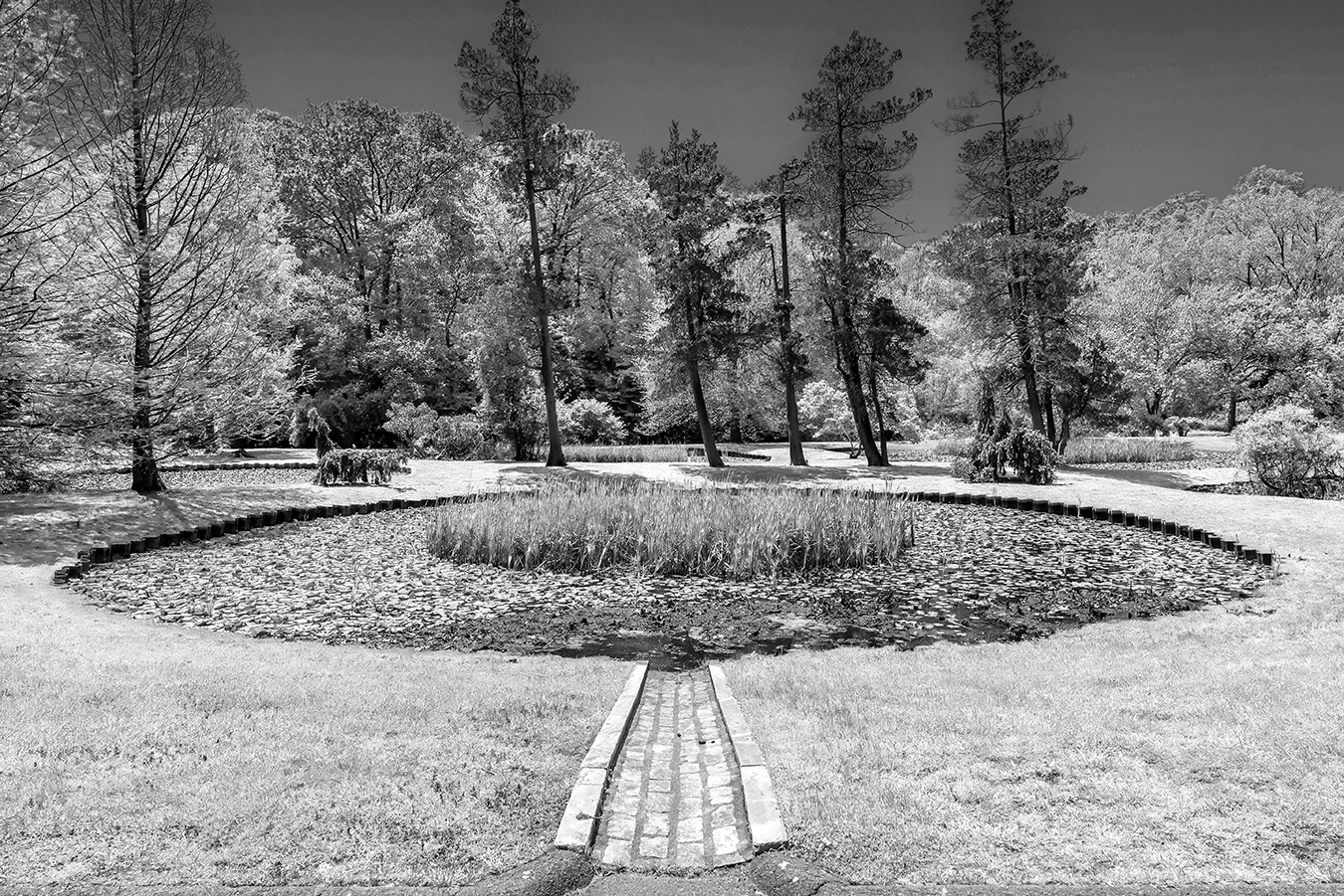 ForestP_019_021-HDR-merge-f9-TpzAI-sky-dBW-1350.jpg