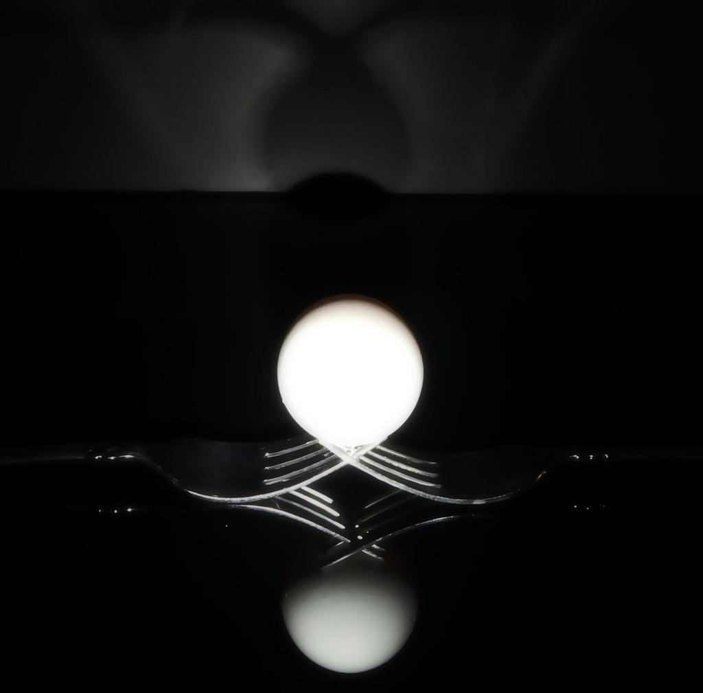 forks n egg 1200.jpg
