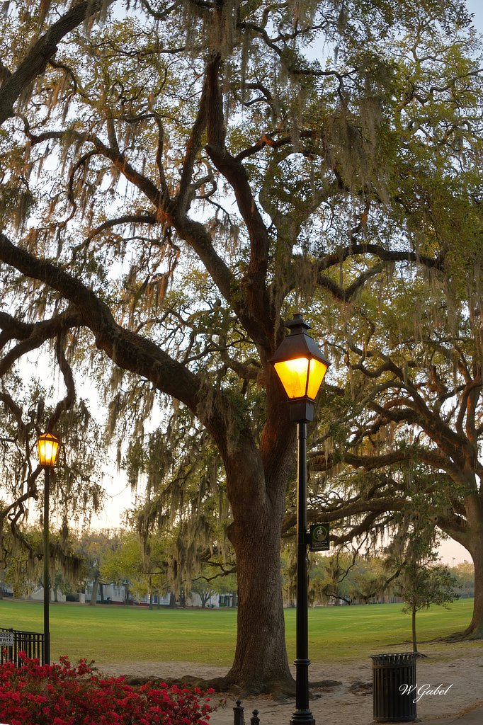 Forsyth park sm.jpg
