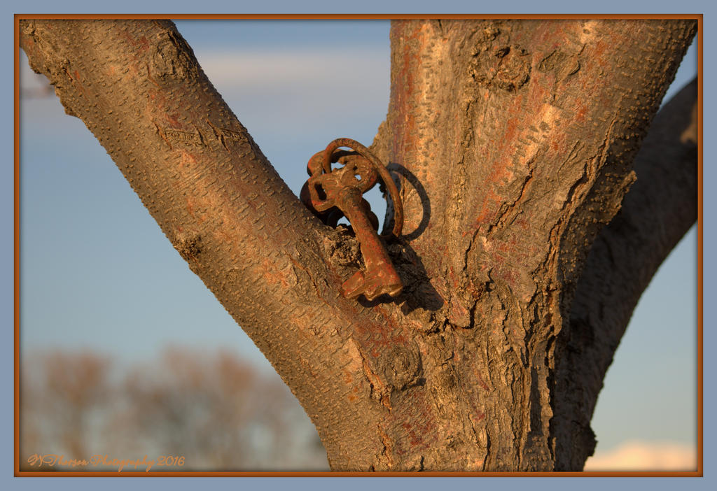 Four Keys on a Tree #2 2-24-2016.jpg