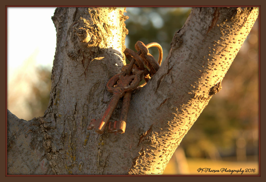 Four Keys on a Tree 2-24-2016.jpg