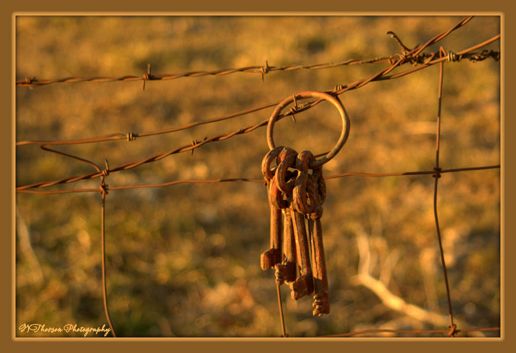 Four Keys on Barbed Wire 2-24-2016.jpg