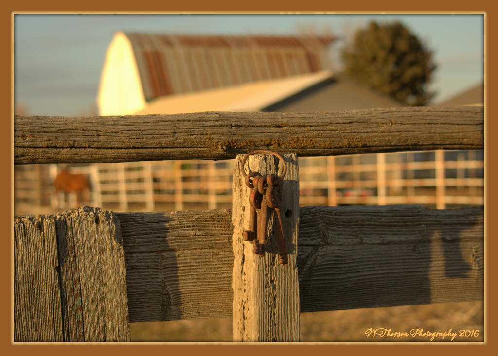 Four Keys on Fence Post with Horse in Background 2-24-2016.jpg