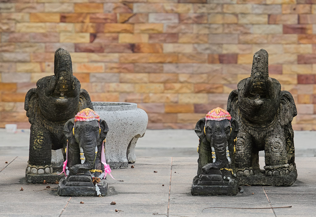 fourlephants-1.jpg