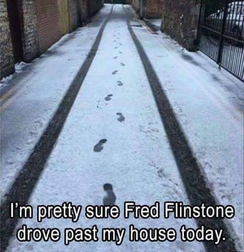 fred.jpg