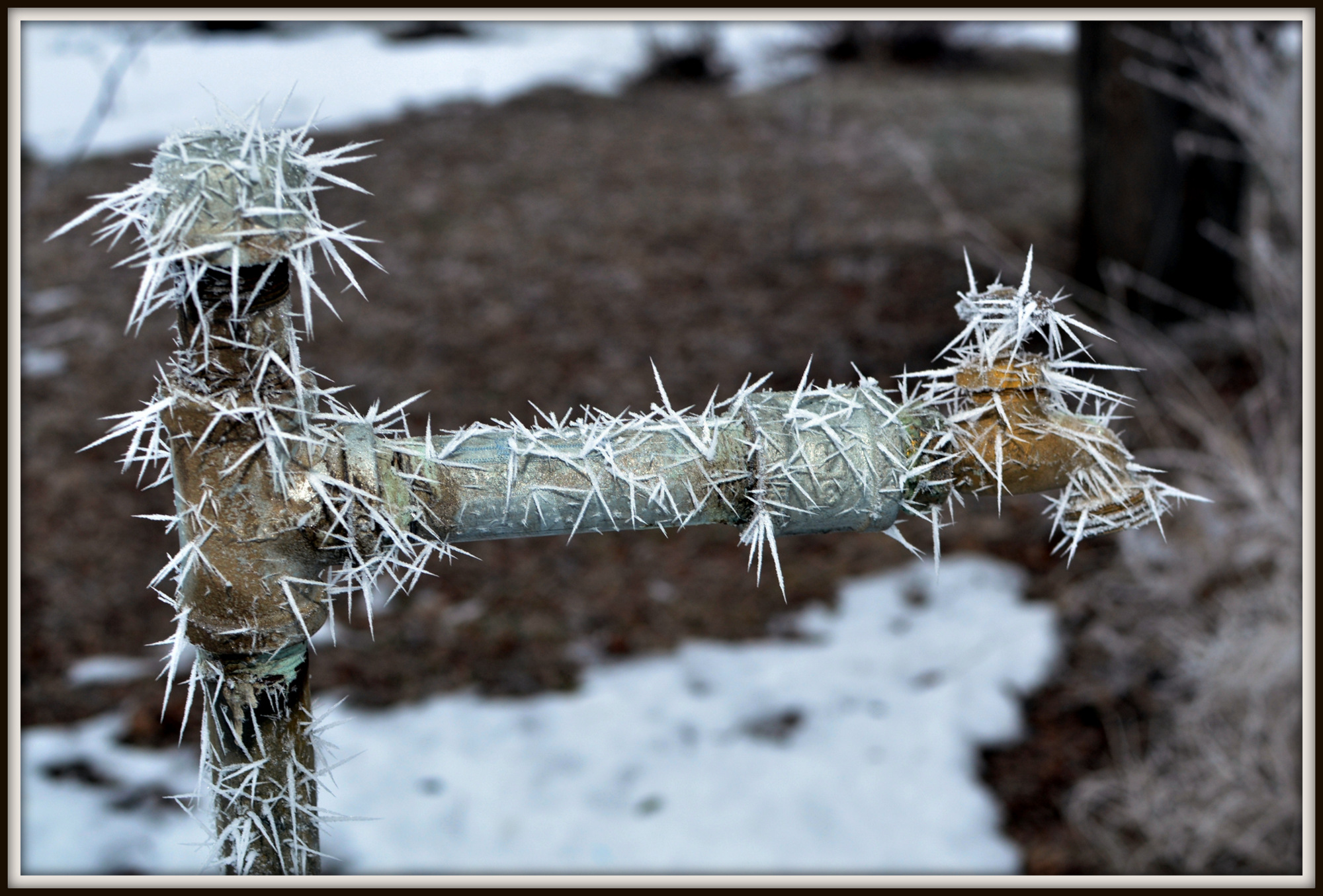FREEZING FOG 037.JPG